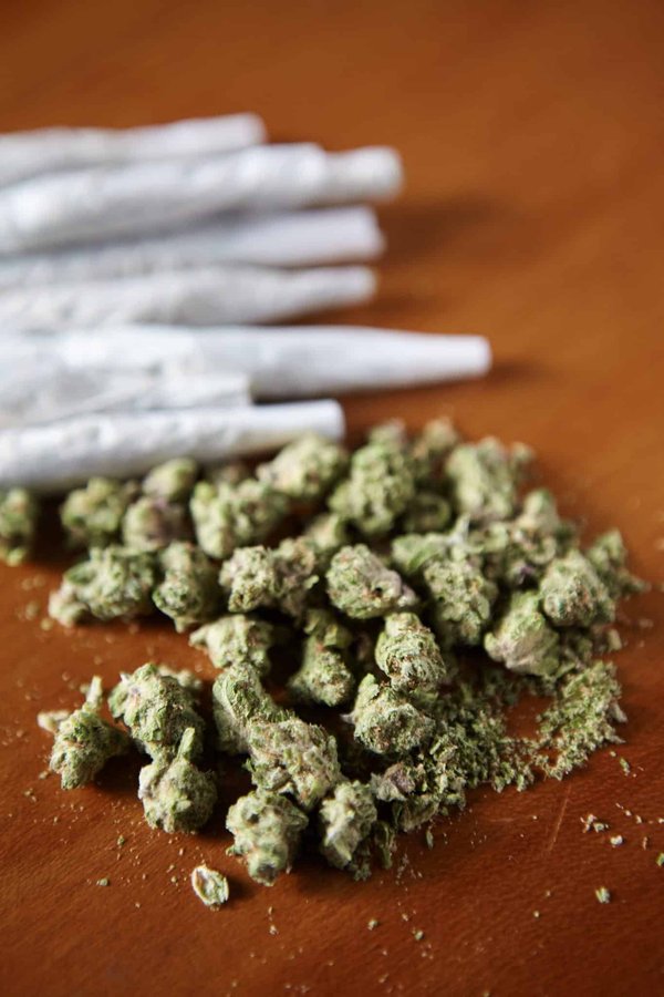 L'essentiel à découvrir sur le hhcpo